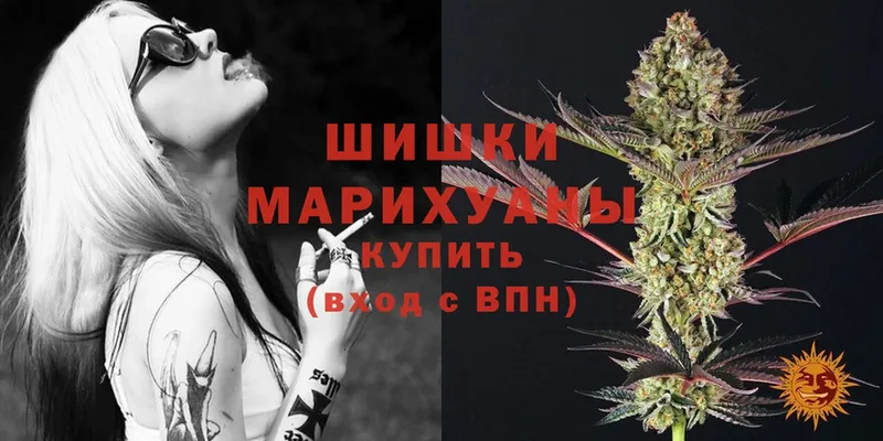 где можно купить наркотик  Калтан  Каннабис SATIVA & INDICA 